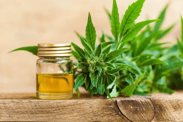 How Long Does Edible Cbd Stay in System