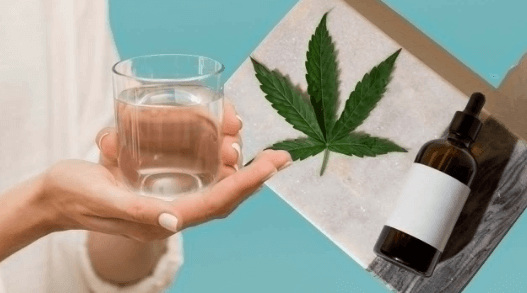 How to Get Rid of Cbd Oil in Your System
