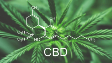 How Long Does Cbd Stay in Your Blood