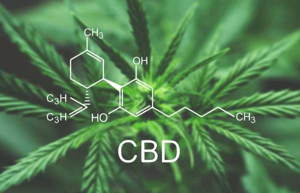 How Long Does Cbd Stay in Your Blood