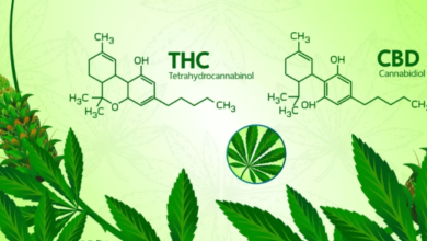 What Is Cbd and Thc