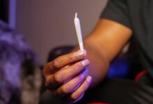 cbd drug test results