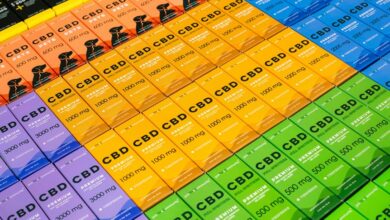 cbd for dog anxiety