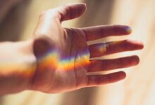 cbd gummies affect body functions