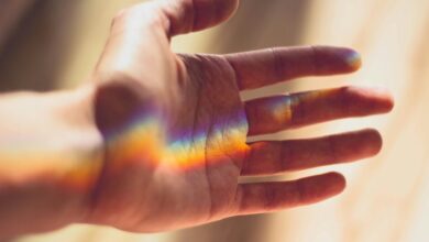 cbd gummies affect body functions
