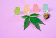 cbd gummies legality alabama