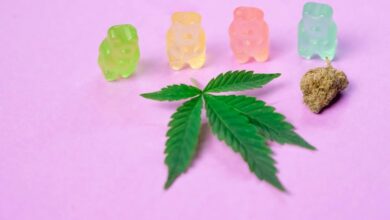 cbd gummies legality alabama
