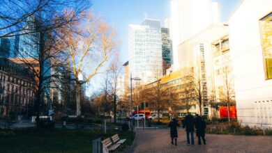 cbd legality in germany