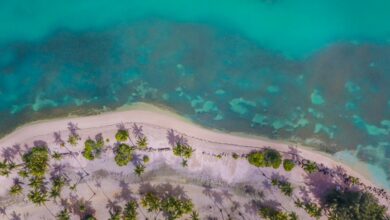 cbd legality in puerto rico