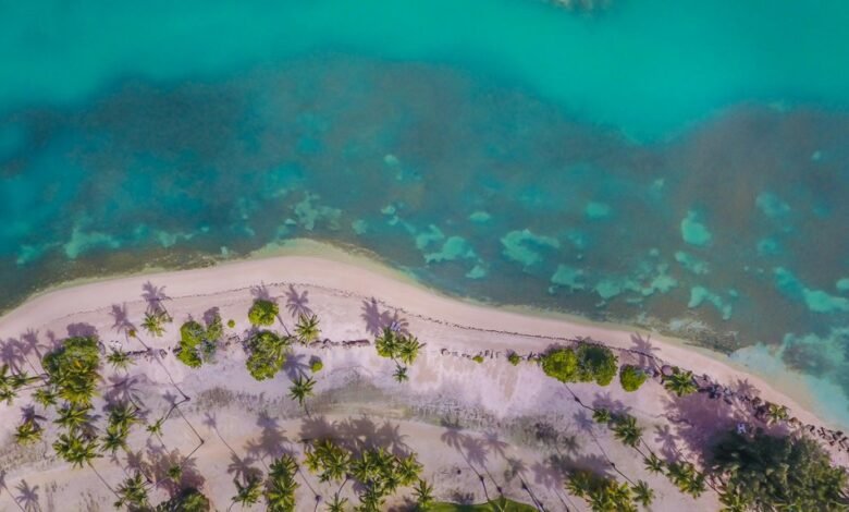 cbd legality in puerto rico