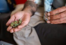 cbd legality varies by country