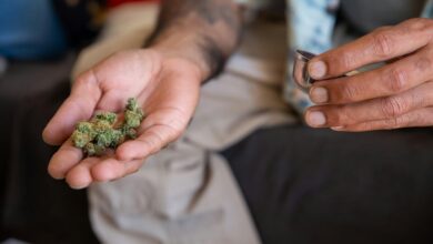 cbd legality varies by country