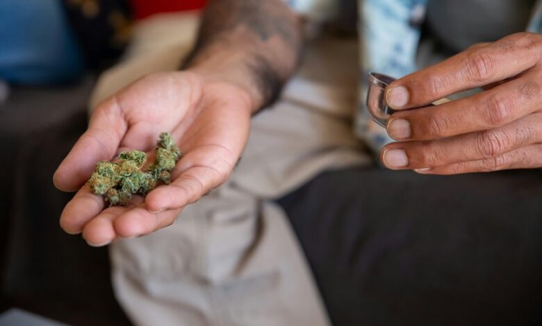 cbd legality varies by country