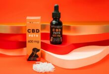 cbd oil constipation dogs