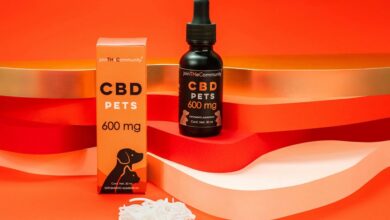 cbd oil sources for dogs