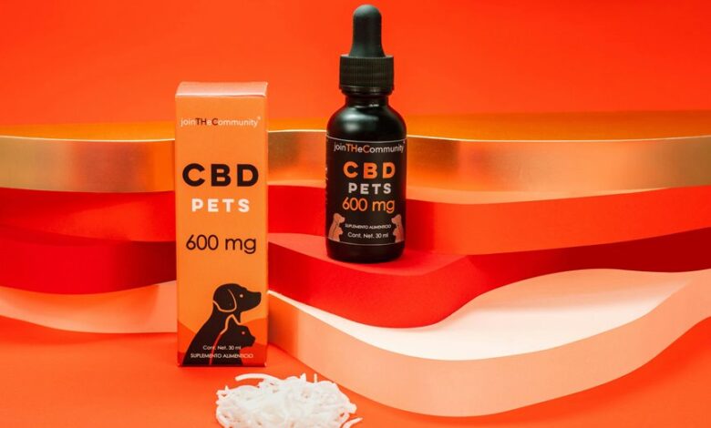cbd oil sources for dogs