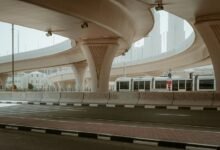 cbd retention in body