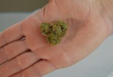cbd s effects not depressant
