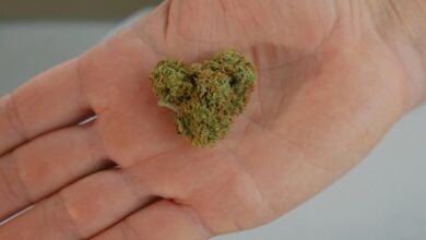 cbd s effects not depressant