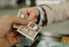cost of cbd products