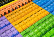 dogs and cbd usage