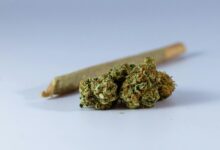 effects of smoking cbd