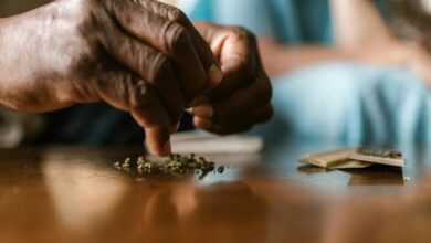 enhance cbd absorption methods