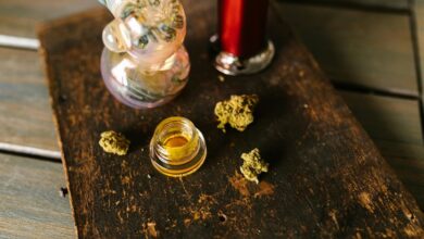 extracting cbd from cannabis