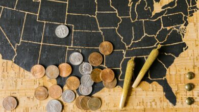 federal employees and cbd