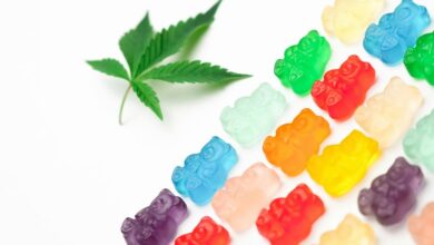 flying with cbd gummies