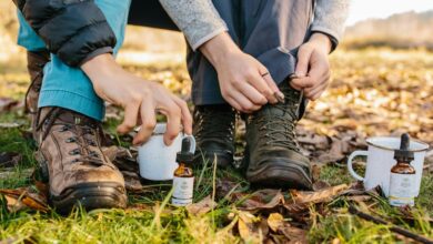 humans using dog cbd