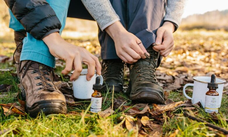 humans using dog cbd
