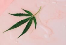 legality of growing cbd