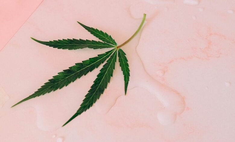 legality of growing cbd