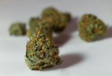 thc and cbd for pain
