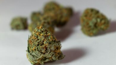 thc and cbd for pain