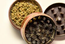 using cbd isolate effectively