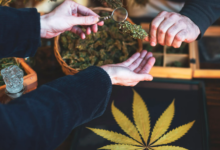 The Importance of Professional Guidance at A Weed Dispensary