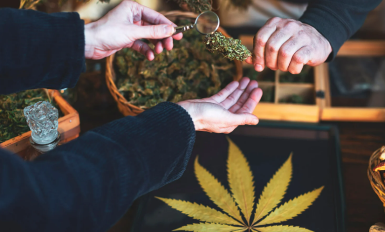 The Importance of Professional Guidance at A Weed Dispensary