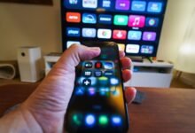 mp4moviz2 s current importance worthwhile