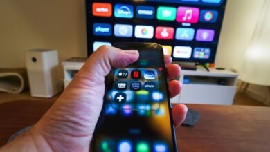 mp4moviz2 s current importance worthwhile