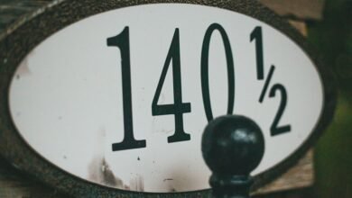 numeric id and explanation
