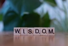 top reasons to learn about 3463481275